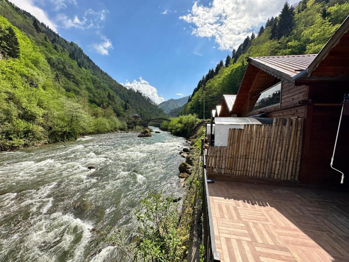 Tuva Villa Bungalov Çamlıhemşin Exterior foto